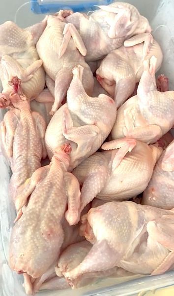 Quail Carcass Pozhyvna Perepilochka Eviscerated Frozen | Light dishes