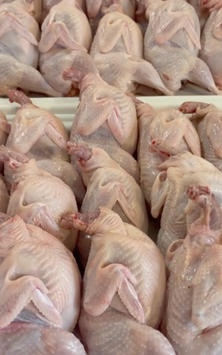Chilled Eviscerated Quail Carcass in Sweet Chili Orange Marinade | Diet food